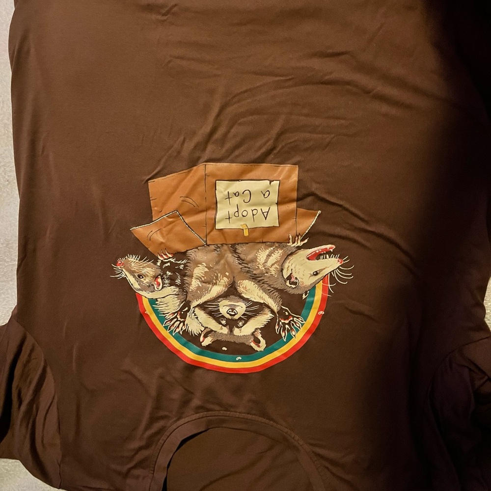 Brown Graphic Tee with Raccoon Design